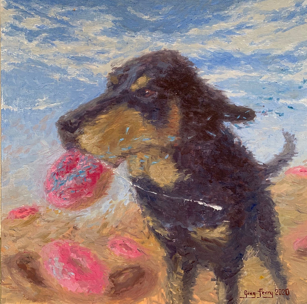 Harvey with Donut and Slobber