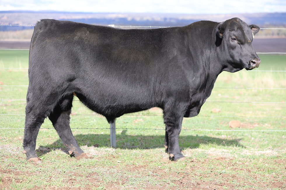 Lot 05 EER24V201