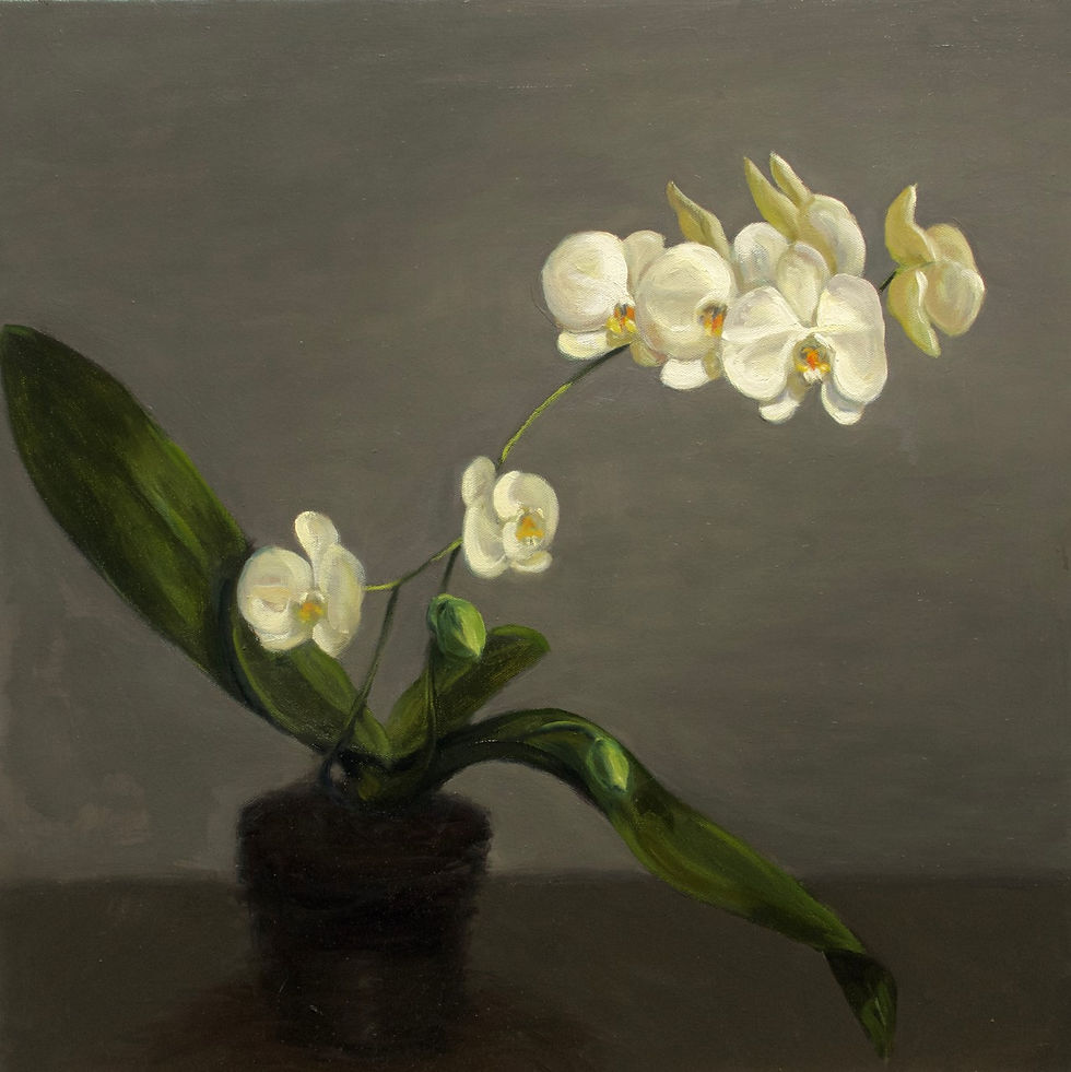 Orchid