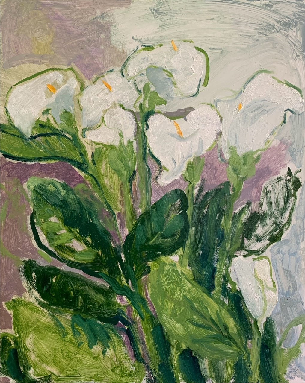 The Arum Lilies