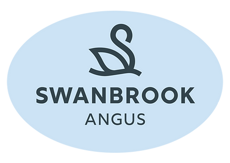 Swanbrook_Oval_Straight_Ice.png
