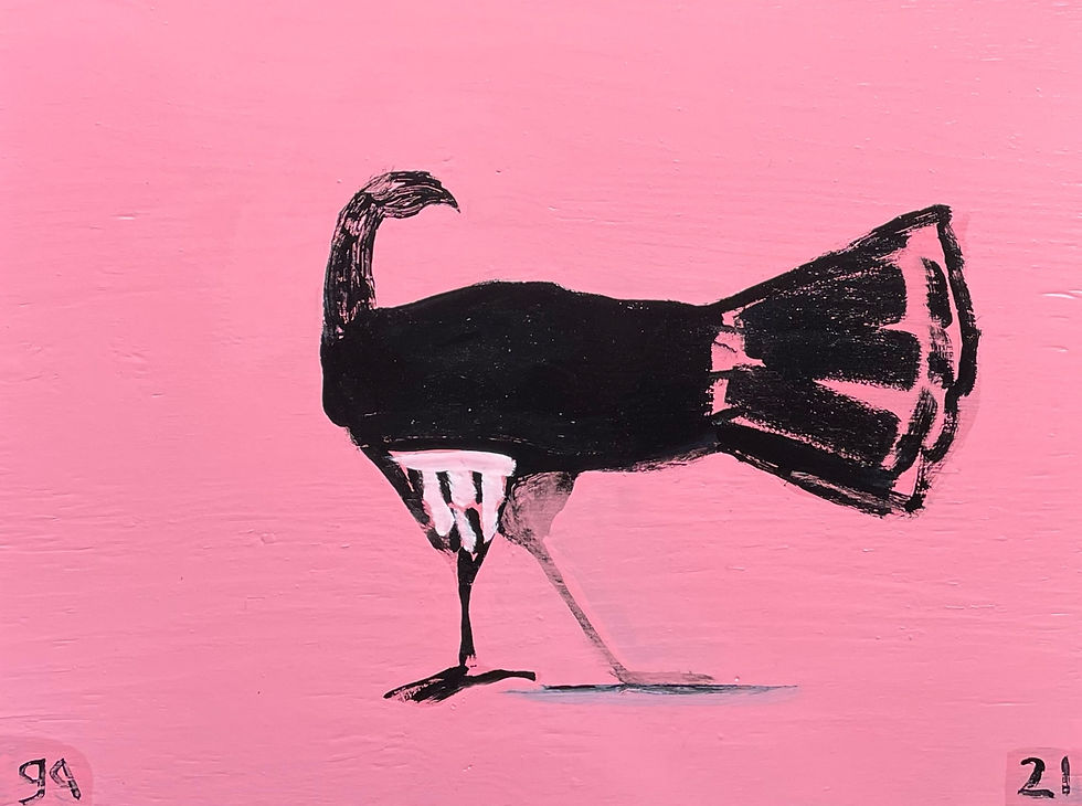 Australian Turkey #5