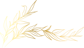gold-leaf-line-free-png.webp