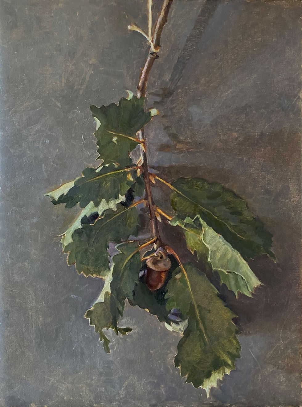 Oak Branch