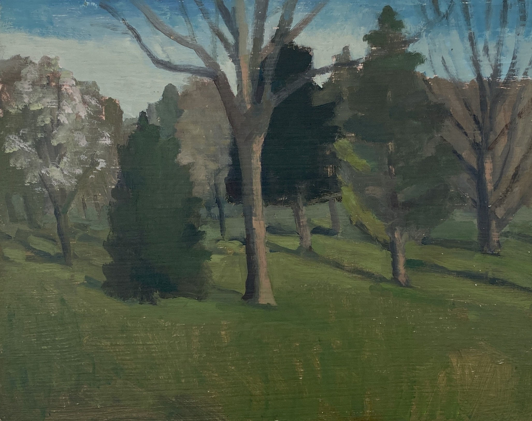 Spring Landscape with Trees