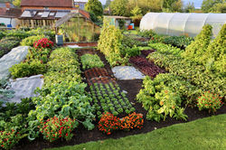 homeacres-no-dig-11th-sept-19-1581602485