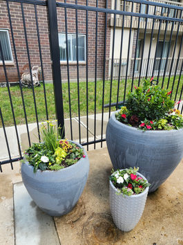 Two tall blue ceramic planters filled with pink and green plants standing next to a metal fence.