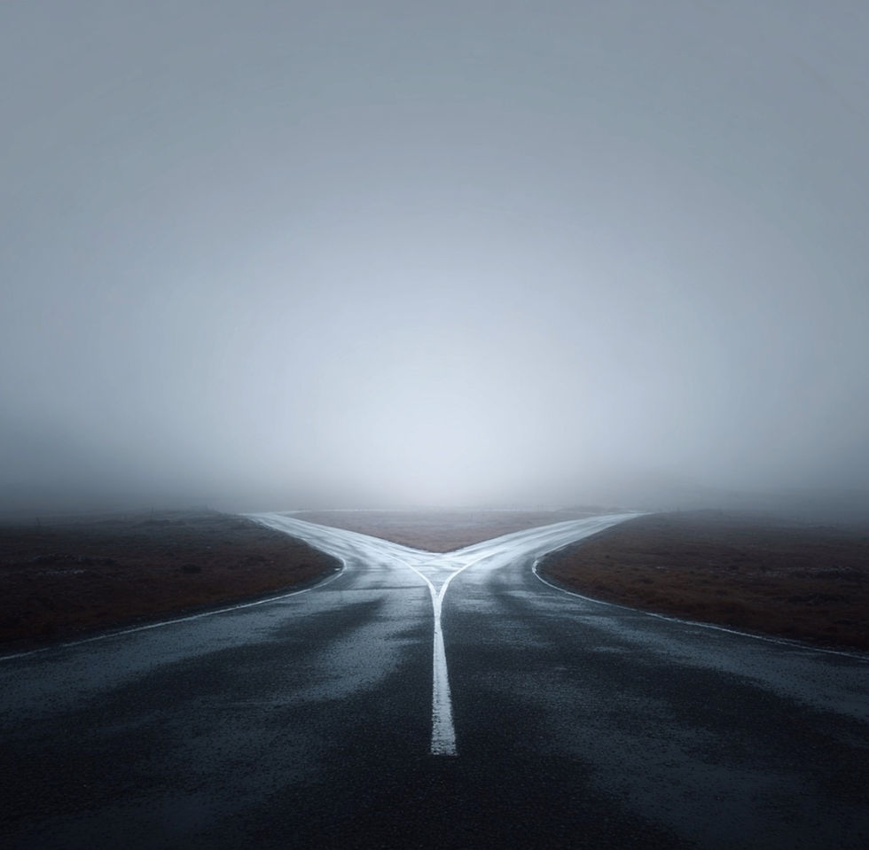 driving towards a fork in the road