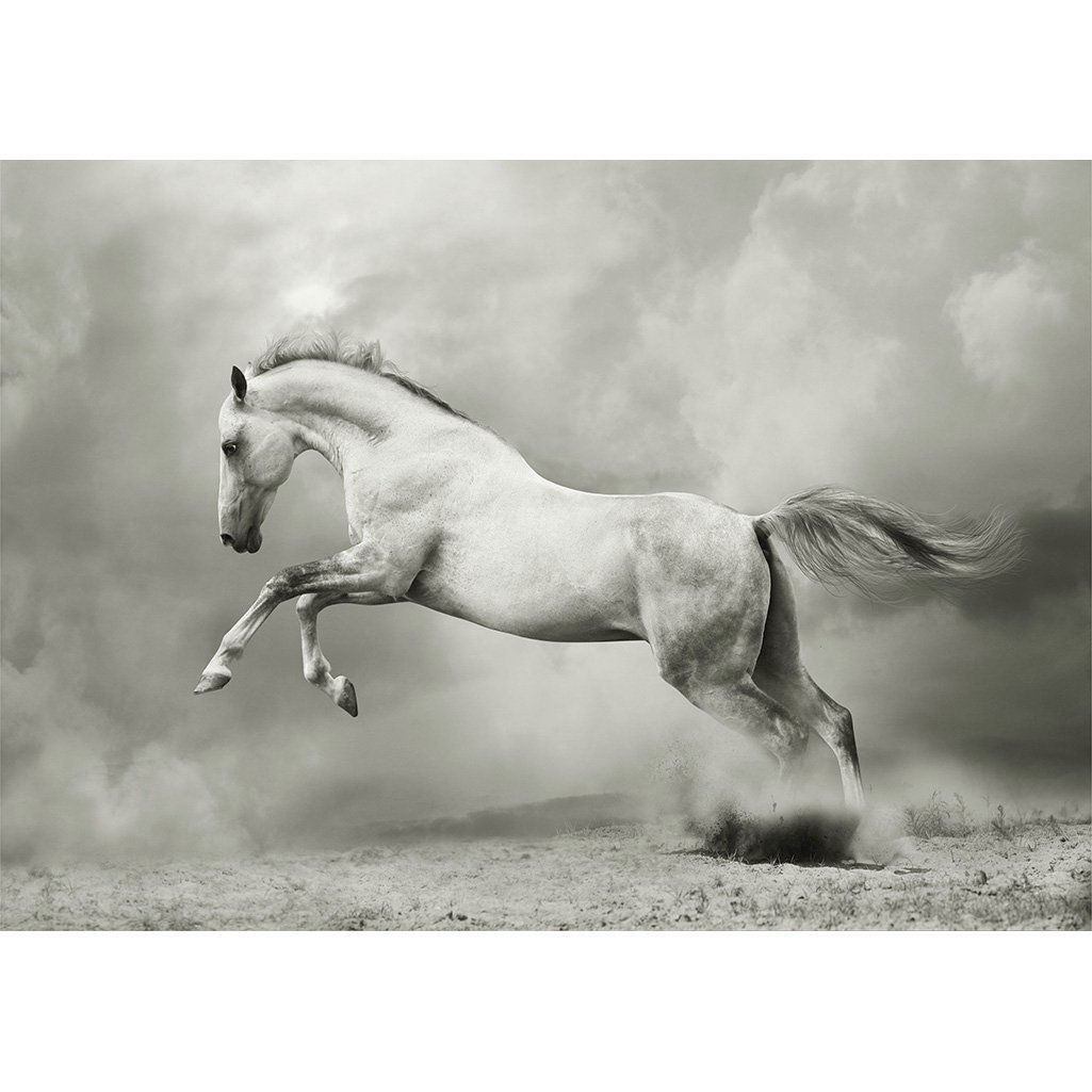 White Horse