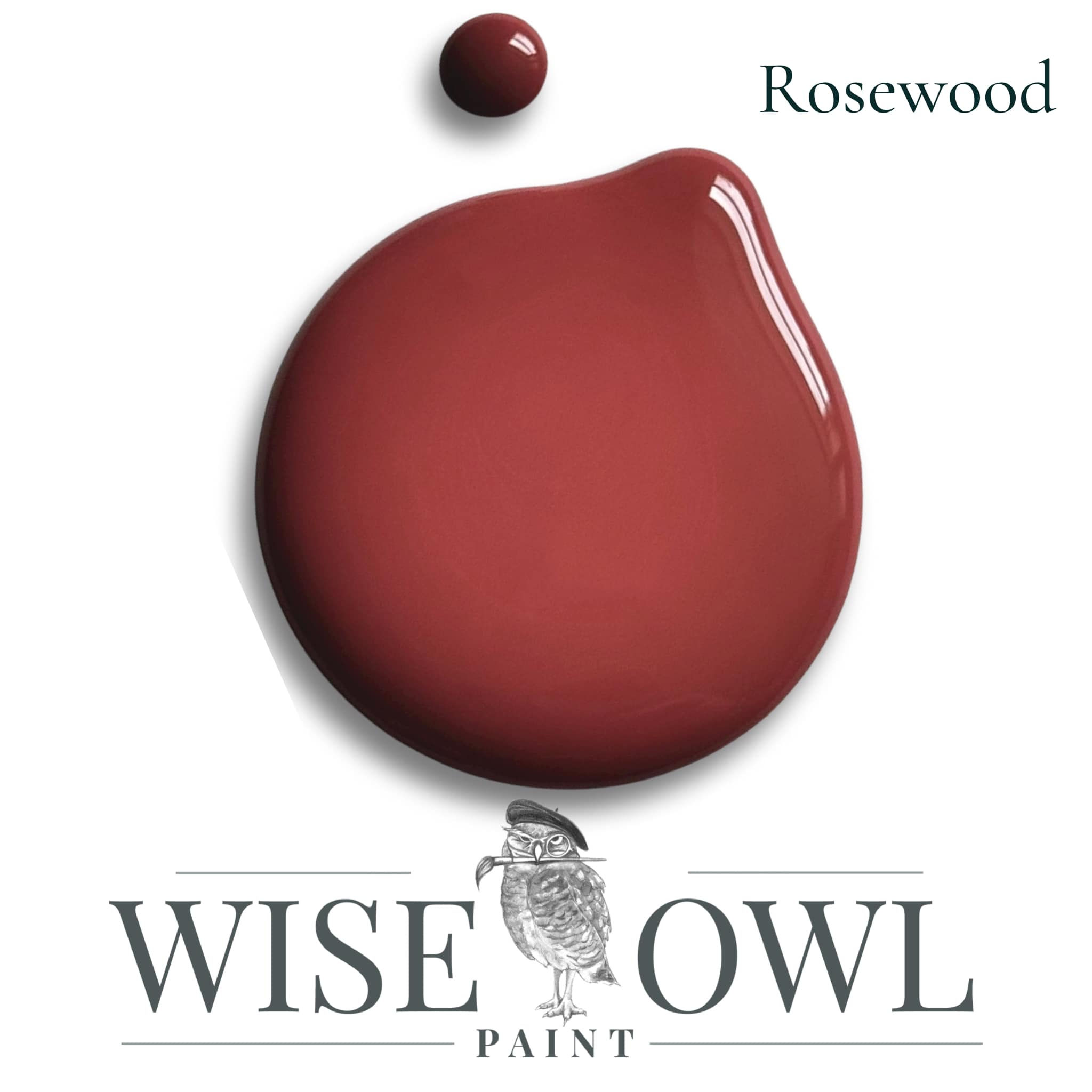 Wise Owl Chalk Synthesis Paint Rosewood