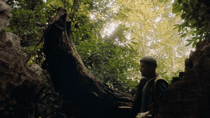 Veuve Clicquot x Garden Gastronomy - Director's Cut-high.gif