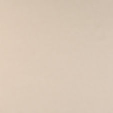 NUANCE / EGGSHELL