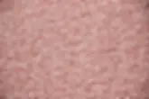 STORMI / BLUSH