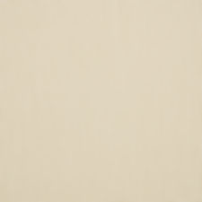 CANVAS / BIRDS EYE