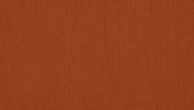 CANVAS / RUST