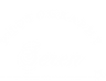 Asset 7.png