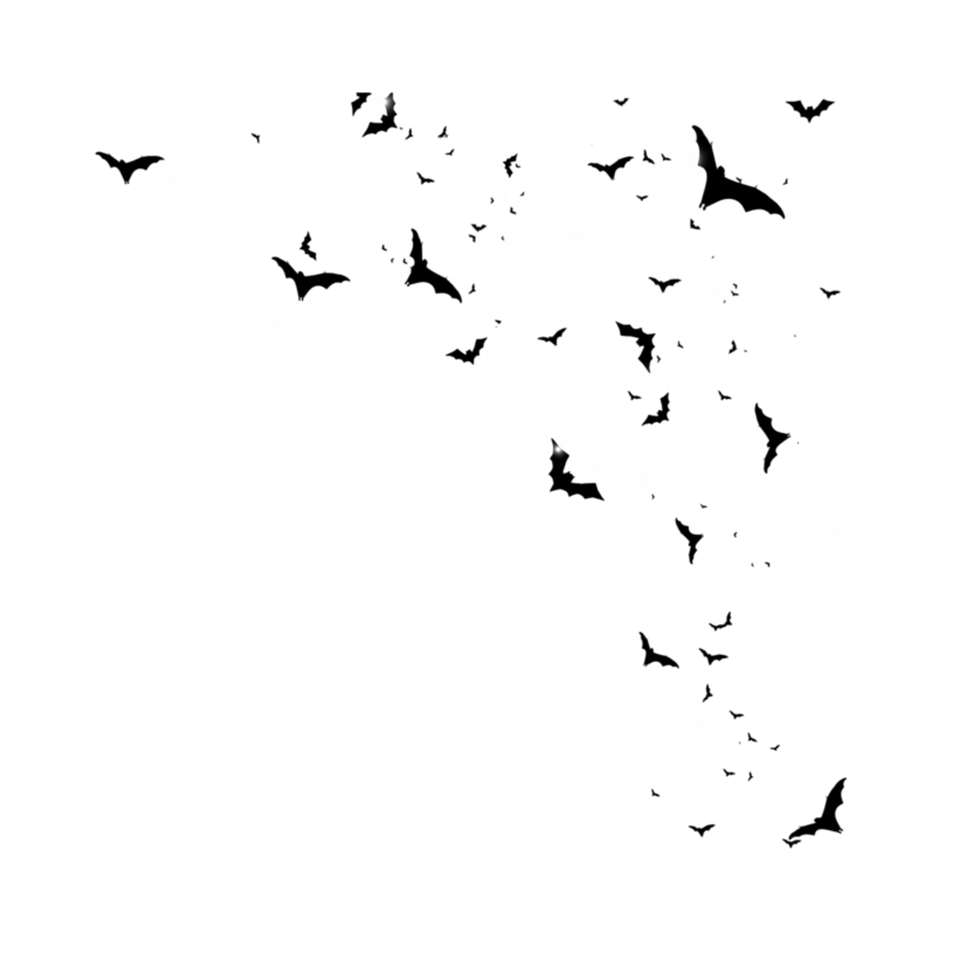 587E1C8F-A1AD-449A-B998-ADDCF5514371.PNG