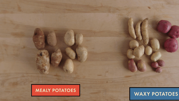Mealy-vs-Waxy.gif