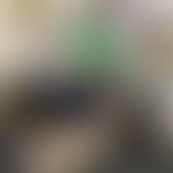 Former Head Start Student Gives Back to O.C.E.A.N., Inc. 