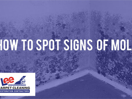 How to Spot Signs of Mold