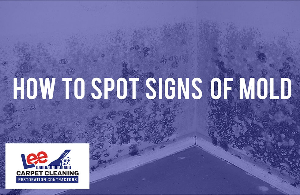 How to Spot Signs of Mold