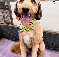 WhatsApp Image 2023-09-25 at 07.26.02 (22).jpeg