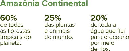 amazonia continental.png