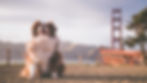 filhote-de-cachorro-pastor-australiano-fofo-e-fofo-com-a-ponte-golden-gate-ao-fundo.jpg