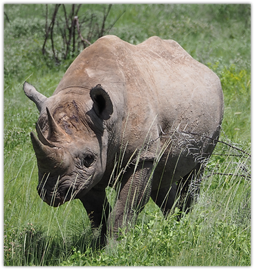 Namibie-16.png