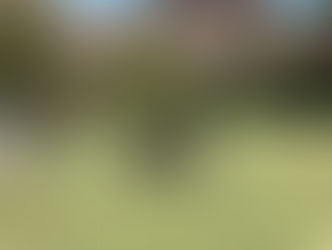 Inyo County Sheriffs K9 Demo