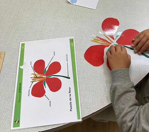 Photographie par Romane FORRESTIER la 18 septembre 2025