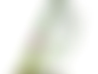 与えられた課題を貫くことで、ブレない自分軸をつくる。