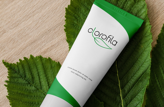 mock-up3_identidade_visual_clorofila