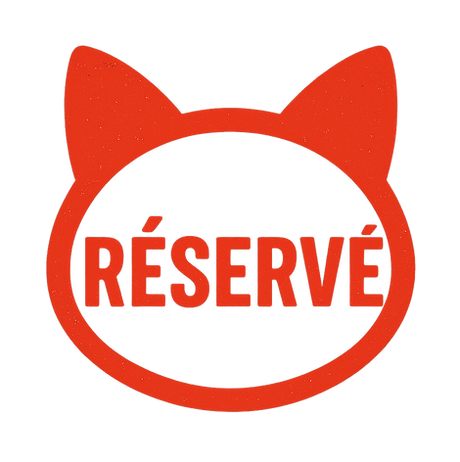 maine coon elevage montpellier Nimes