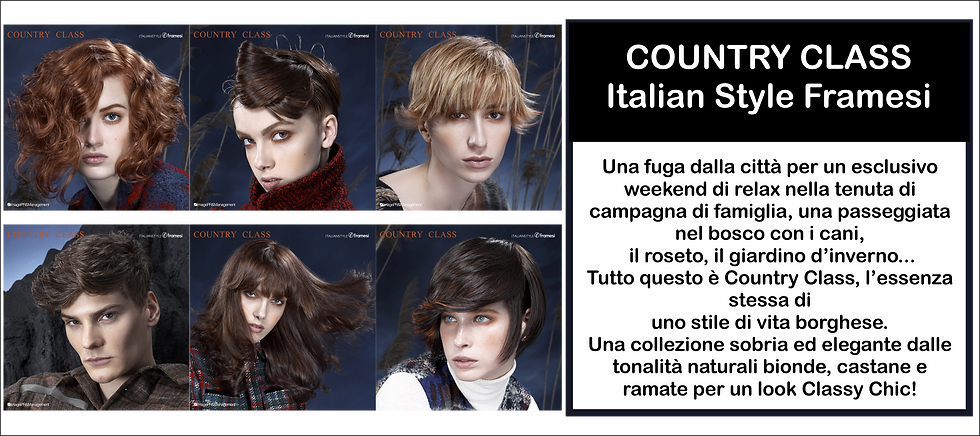 new COLLECTION 2