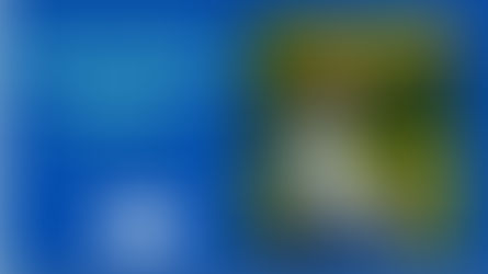 Νέα Επαγγέλματα στη Δασολογία και το Περιβάλλον.