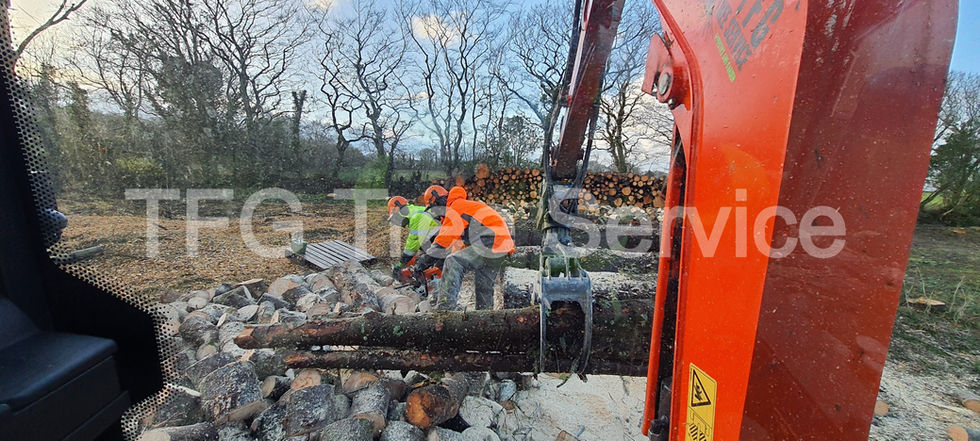 20221220_151327_edited.jpg
