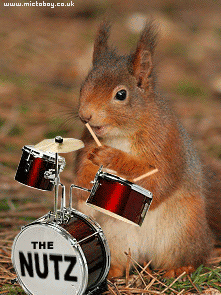 gif-fc3aate-de-la-musique-21.gif