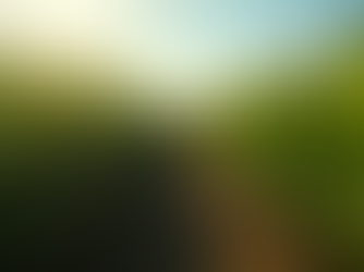 Exploring Brazil Sugar Makers: A Deep Dive into the Sugar Industry