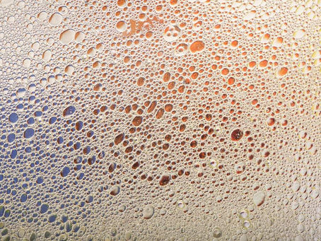 How to Source Premium Refined Sunflower Oil for Your Business