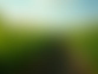 Why Brazilian Sugar Suppliers Dominate the Market