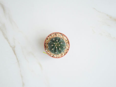 Top Strategies for Effective Business Listings Management