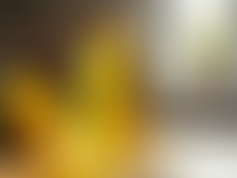 The Versatility and Uses of Refined Sunflower Oil