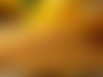 Top Sunflower Oil Manufacturers to Know About