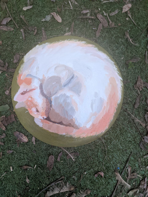 סימבה כדורי (2)