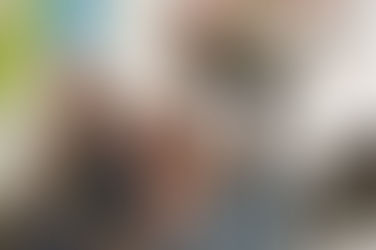 Aste Santua Belgikan