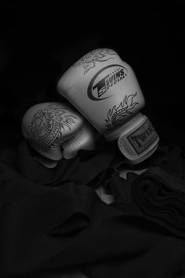 Dragon Fists