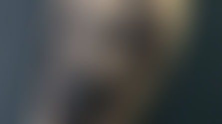 Melhor estudio de tatuagem do centro do rio de janeiro/ tattoo centro rj