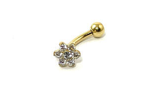 Piercing de titânio revertido em ouro gold pvd , Rio de Janeiro RJ
Piercing de titânio com zircônia