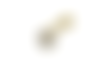 Piercing de titânio revertido em ouro gold pvd , Rio de Janeiro RJ
Piercing de titânio com zircônia